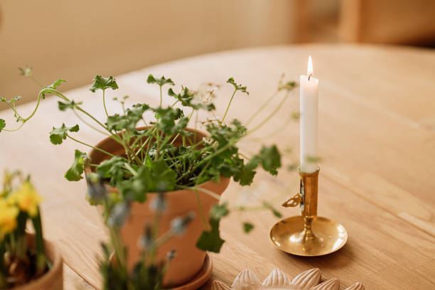 Candle light in antique brass holder and scented geranium on table